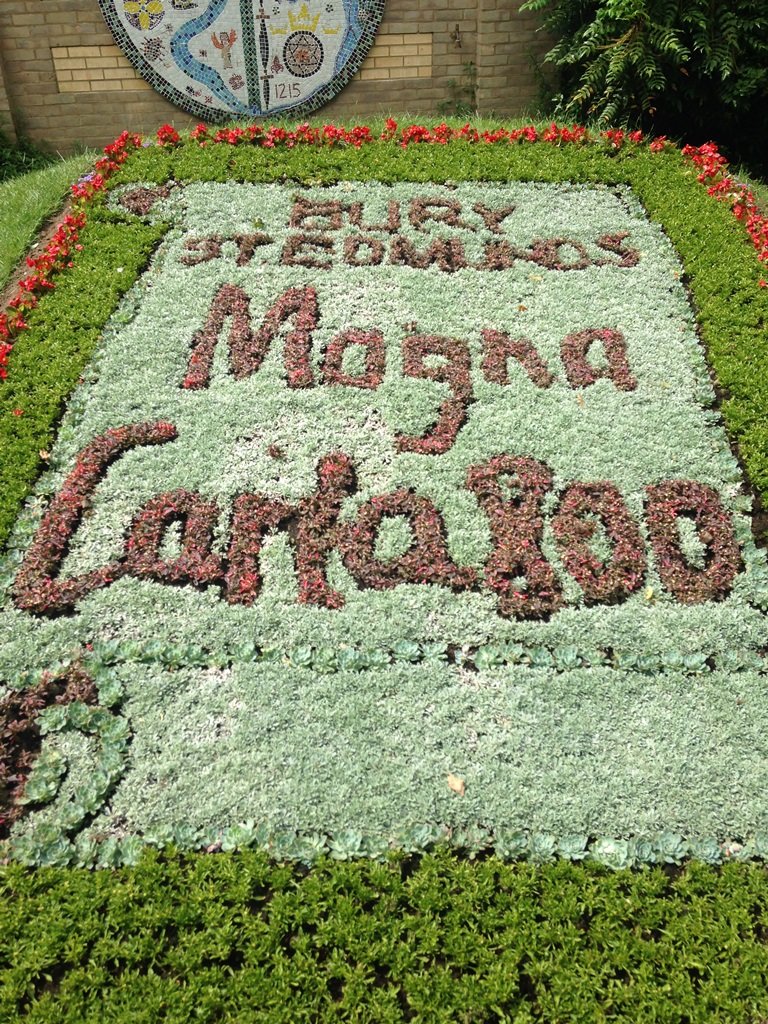 Magna Carta 800