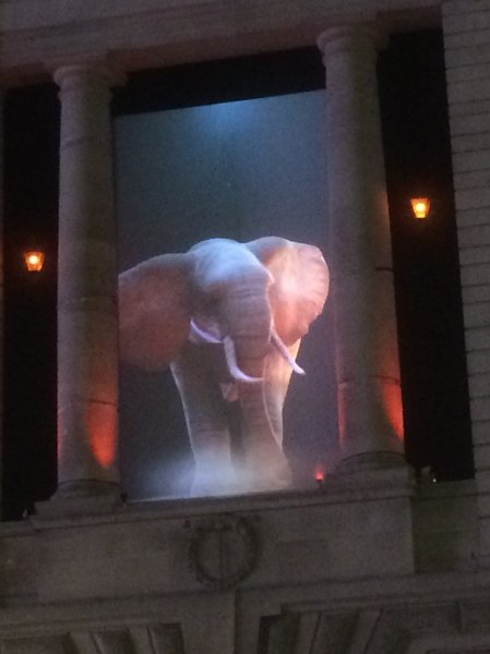 Lumiere 4