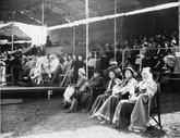 The grandstand at the Carlisle Pageant, 1951